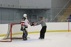 110: hockey-1_8731