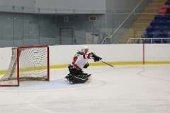 10: hockey-1_8636