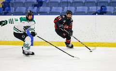 135: Canucks vs Pelham Panthers Feb 4 2022-143