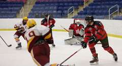 83: hockey_3814