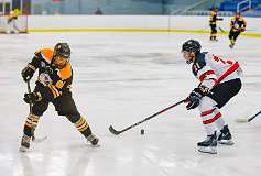 17: Game Canuck vs Hamilton Kilty Bees Nov 11 2022-060-251