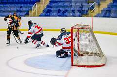 24: Game Canuck vs Hamilton Kilty Bees Nov 11 2022-067-258