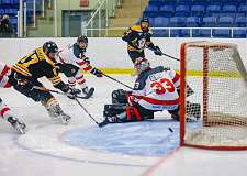 36: Game Canuck vs Hamilton Kilty Bees Nov 11 2022-079-270