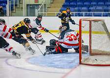 37: Game Canuck vs Hamilton Kilty Bees Nov 11 2022-080-271