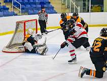 38: Game Canuck vs Hamilton Kilty Bees Nov 11 2022-081-272