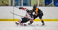 42: Game Canuck vs Hamilton Kilty Bees Nov 11 2022-085-276