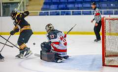 47: Game Canuck vs Hamilton Kilty Bees Nov 11 2022-090-281