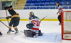 48: Game Canuck vs Hamilton Kilty Bees Nov 11 2022-091-282