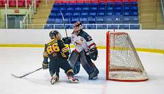 51: Game Canuck vs Hamilton Kilty Bees Nov 11 2022-094-285