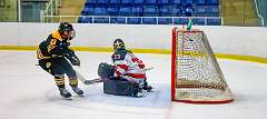 55: Game Canuck vs Hamilton Kilty Bees Nov 11 2022-098-289