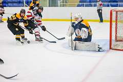 64: Game Canuck vs Hamilton Kilty Bees Nov 11 2022-107-298