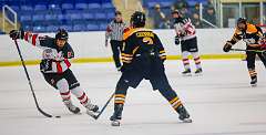 70: Game Canuck vs Hamilton Kilty Bees Nov 11 2022-113-304