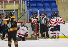 72: Game Canuck vs Hamilton Kilty Bees Nov 11 2022-115-306