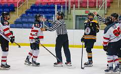 74: Game Canuck vs Hamilton Kilty Bees Nov 11 2022-117-308