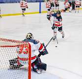 103: Warmup Canuck vs Hamilton Kilty Bees Nov 11 2022-029-337