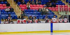 116: Warmup Canuck vs Hamilton Kilty Bees Nov 11 2022-043-351