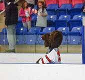 117: Teddy Bear toss  Dec 16 2022-001